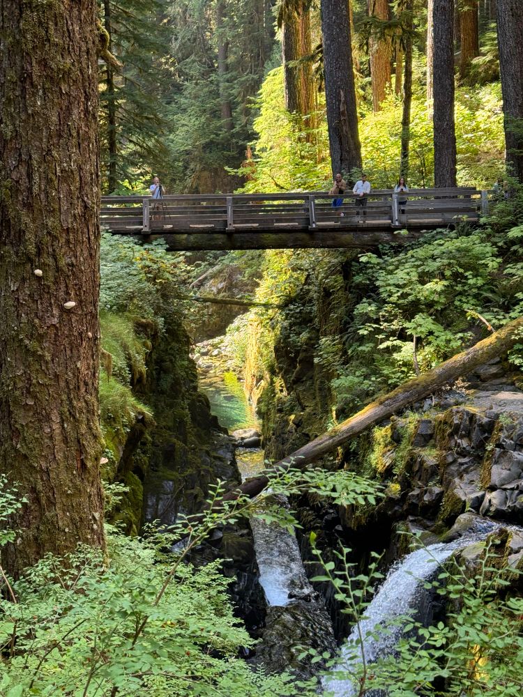 The hiking trail bridge at Sol Duc Falls in Olympic National Park. A small steep-sided canyon covered with moss, with the falls in the foreground. Lush undergrowth and tall trees all around. The Sol Duc River flows away from the viewer, clear as emerald.