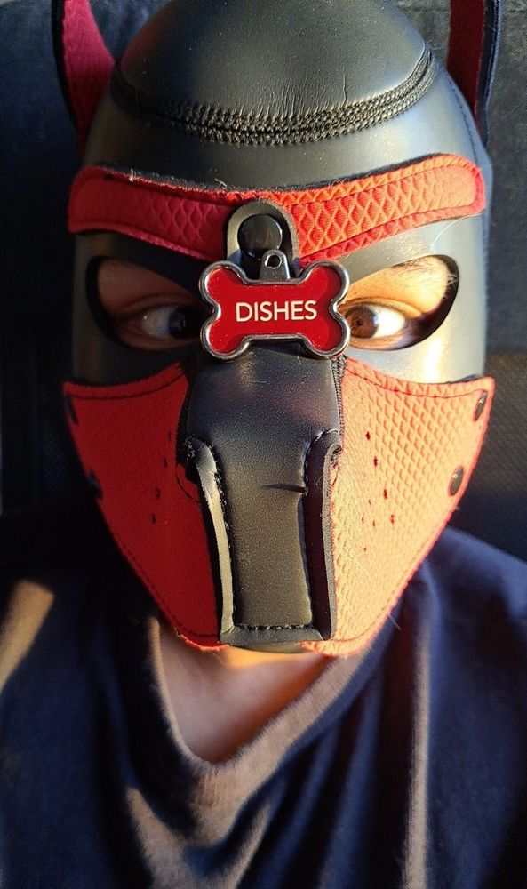 Selfie of me in a pup hood staring crosseyed at a dog tag with the name Dishes on it 