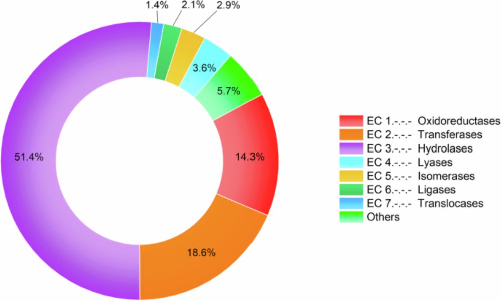 Enlightening the toxinological dark matter of spider venom enzymes - npj Biodiversity