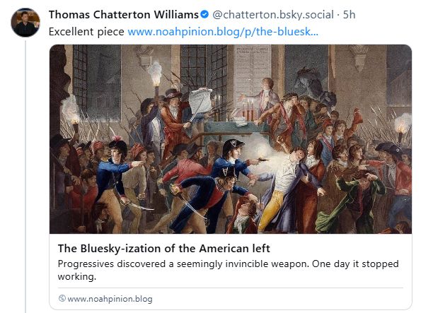 ‪Thomas Chatterton Williams‬ saying "Excellent piece" to Noah Smith's "Bluesky-ization of the American left"