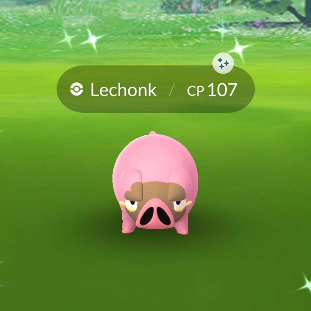 A pink LeChonk