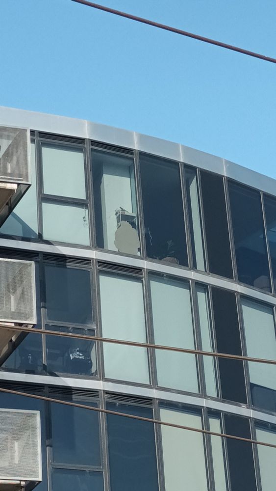 An image of part of an apartment building in Australia. In one of the windows, there is the back of what looks like a cardboard cutout of a head, seeming to have Tintin's hairdo. It is probably a few feet tall. 