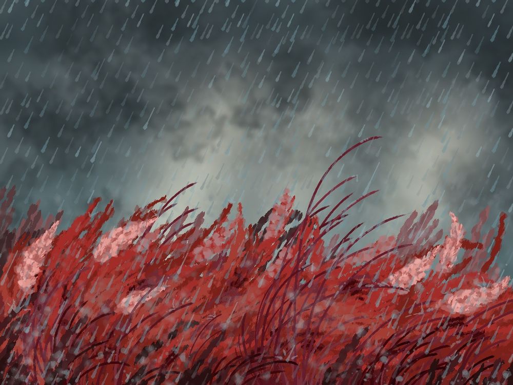 Plumes of red and purple grasses against a stormy sky. There are little rain droplets pattering down on some of the individual strands of cotton and grass, and a yellow haze further out in the sky.