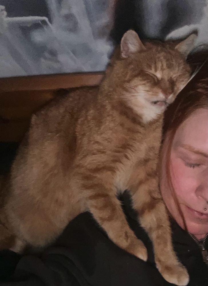 Selfie von mir und meinem Kater, mein Kater lehnt sich im Bett aufrecht sitztend an meinen Kopf und schläft so