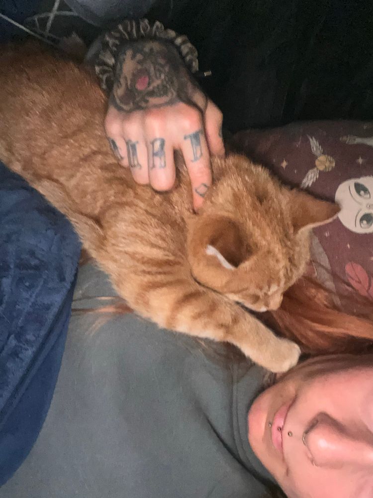 Mein roter Kater liegt auf meiner Brust mit ausgestreckter Pfote in Richtung meines Gesichts