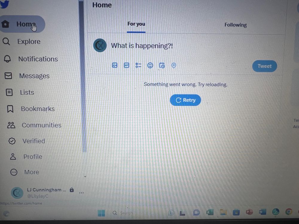 Image shows my Twitter home page and it says something went wrong. Try reloading. 