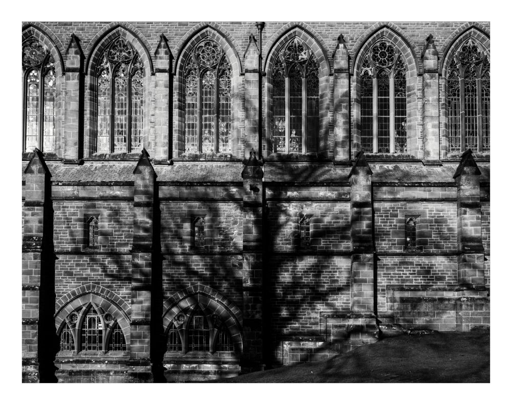 A high-contrast black and white photograph showing the detailed facade of a stone Gothic church . The architecture features a top row of tall, pointed-arch windows with intricate tracery, separated by vertical buttresses that run down the length of the brick wall. The scene is dominated by the sharp, sprawling shadow of a large, leafless tree cast across the entire surface, creating a dramatic web of organic lines against the rigid geometric masonry. The bottom right corner is anchored by a dark, sloping bank of grass.