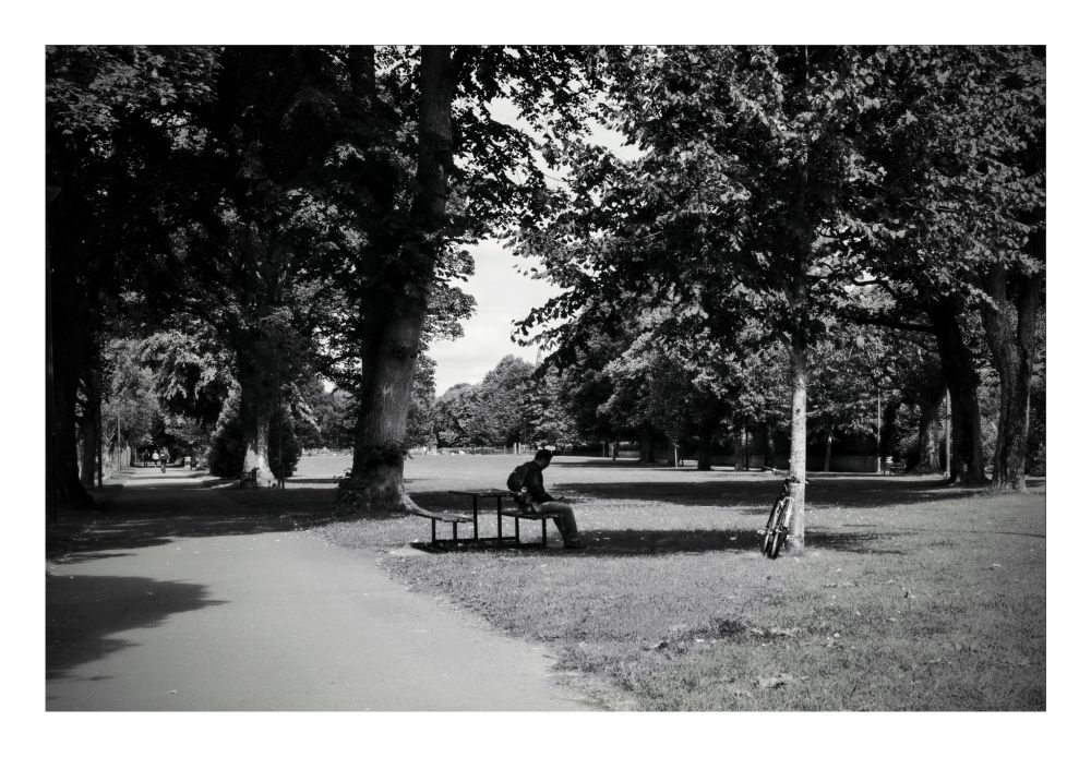 A black and white photograph captures a park scene in Dumfries, Scotland. A person sits on a bench beneath a large tree on the right, with a bicycle leaning against the tree next to them. A paved path curves from the left foreground into the background, where more trees line the open grassy area. The park is well-shaded by the dense foliage of the trees.