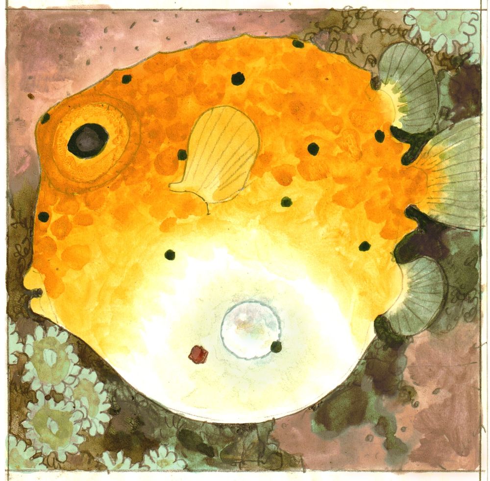watercolour sketch of a yellow fish with a transparent belly, carrying a pearl & a crystal inside