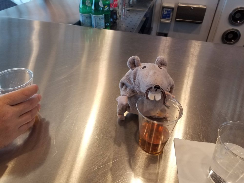A cute Ikea rat having a bourbon at an east coast airport. He is both intrigued and dismayed.