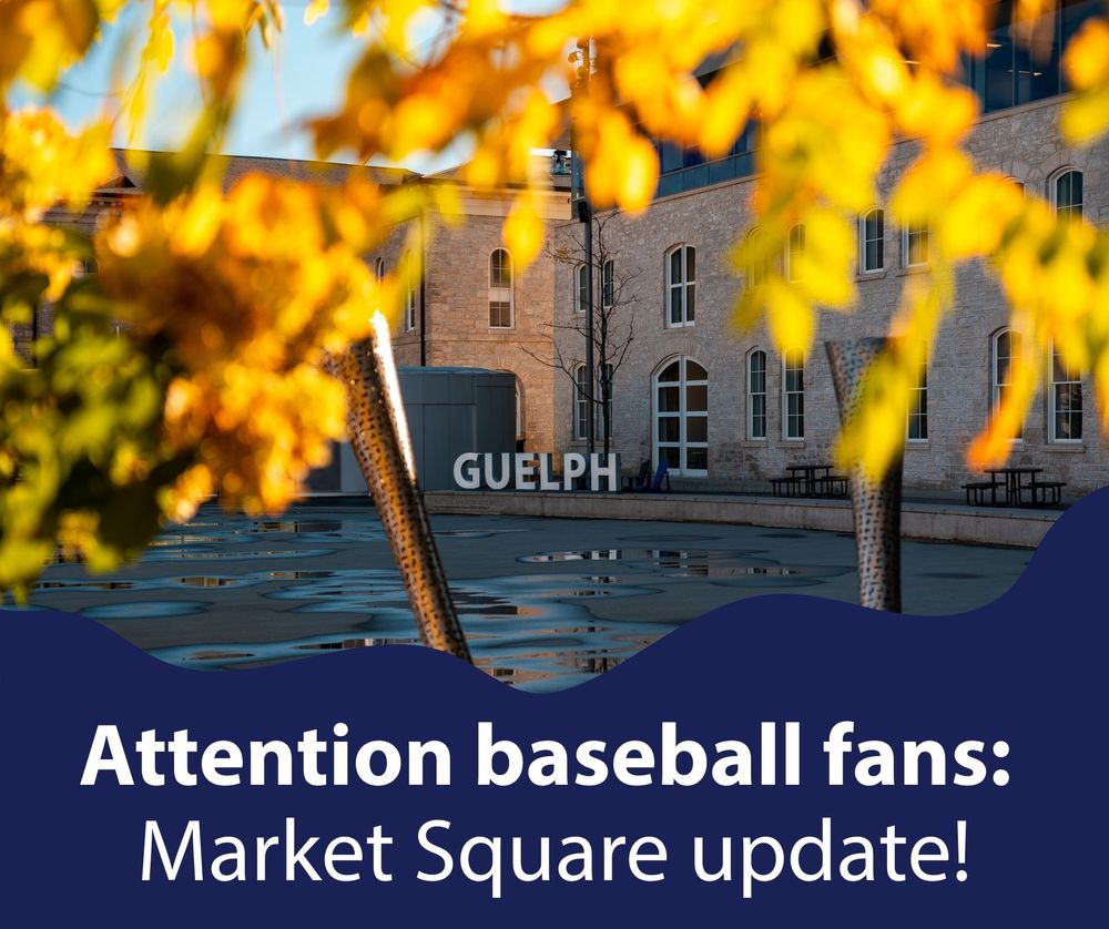Fall photo of Market Square showing the Guelph lettering. "Attention baseball fans: Market Square update!"
