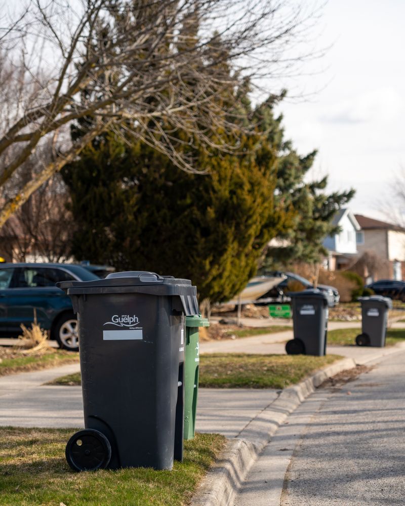 Guelph grey carts and green carts placed on the curb for collection.