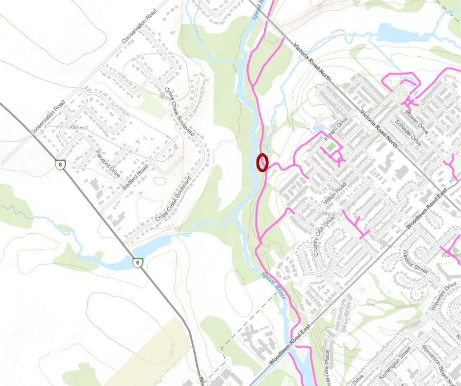 Trail map of the Speed River Trail between Victoria Road North and Woodlawn Road East. A section where the trail crosses a river is circled, marking the area of the trail closure.