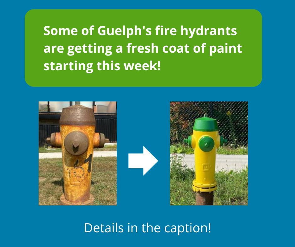 Some of Guelphs fire hydrants are getting a fresh coat of paint starting this week! There are two images, one of a fire hydrant that is rusted and another image of a freshly painted hydrant in green and yellow. 

Details on the work being done is in the caption.
