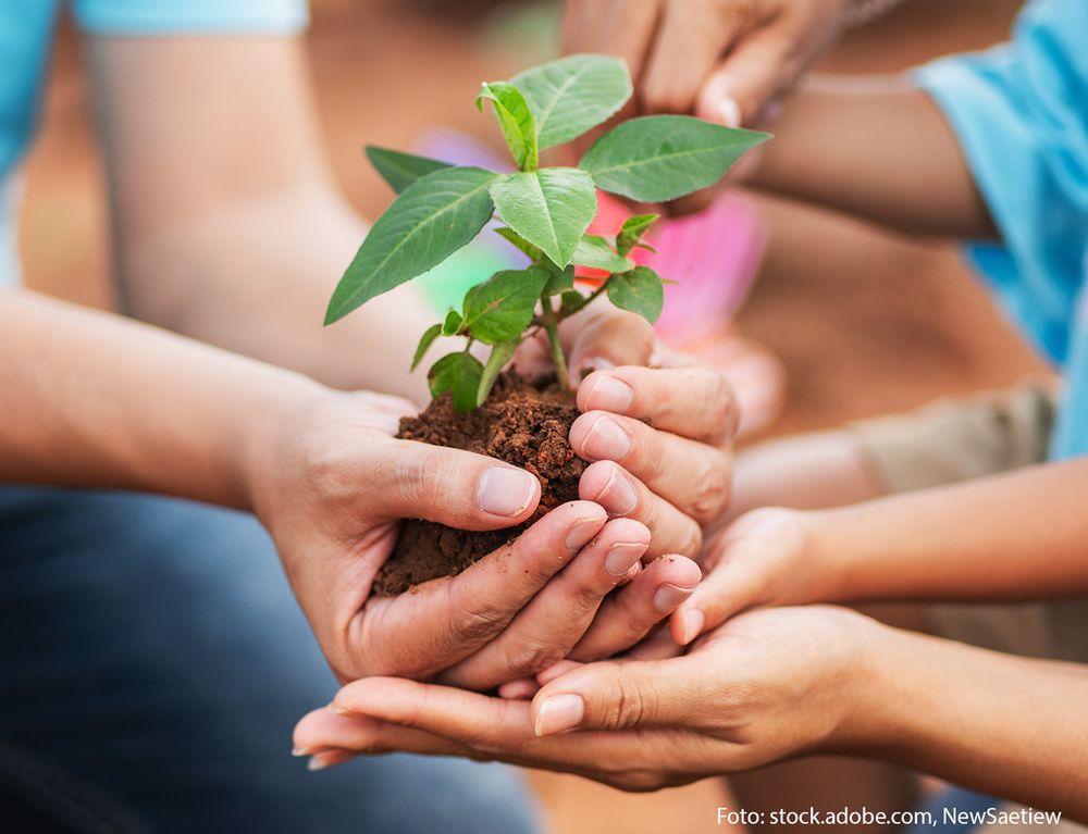 Menschen setzen zusammen eine Pflanze in die Erde.