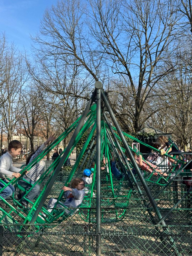 A photo of several swings full of children, taken from the side. The children are having a lot of fun