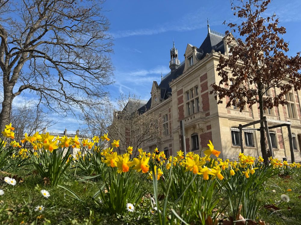 A photo of an old building made of bricks and stones. In the foreground there are plenty of yellow flowers