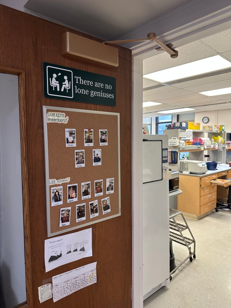 Our new "There are no lone geniuses" sign mounted on the door to the lab.