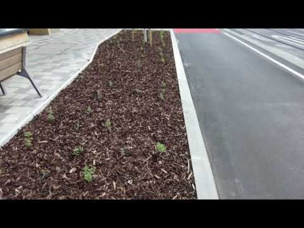 Floridsdorfer Hauptstraße, Prager Straße, Wien, 19.04.2025, Platz MIV/Rad/Fußgeher:innen