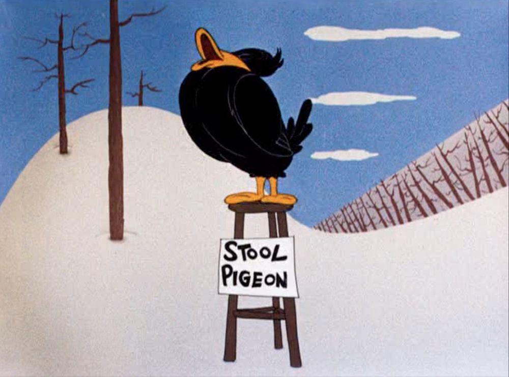 Daffy perched on a wooden stool in a snowy landscape, his chest puffed out and beak open as if he's cooing, a sign attached to the stool reads 'STOOL PIGEON'