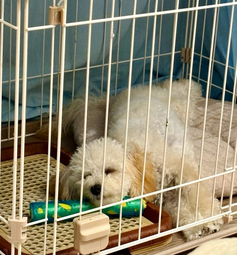 最近！！！！！