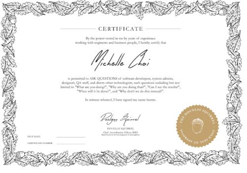 Official, gold-seal certificate giving permission to ask questions of all kinds of your tech team.