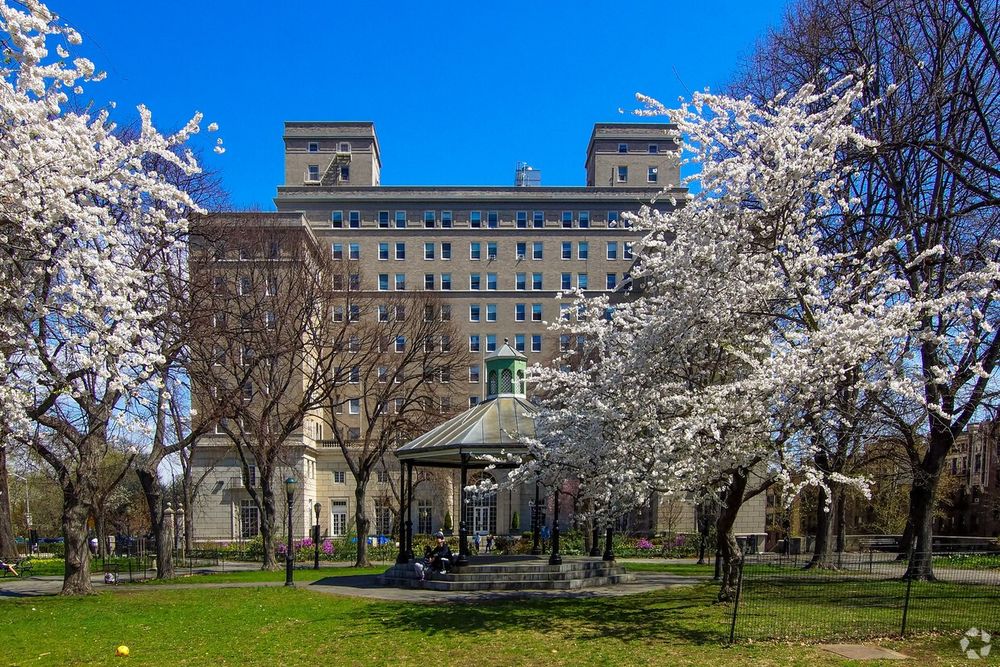 View of International House New York featuring a bustling park scene with a gazebo and blooming white cherry trees, with a large, traditional building in the background under a clear blue sky.