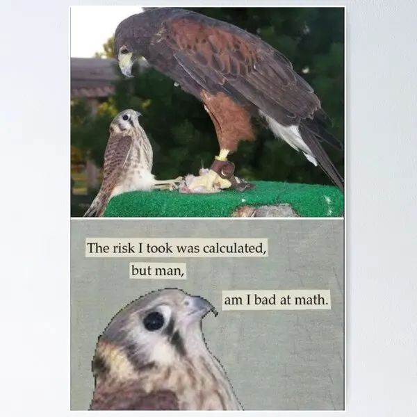 The risk I took was calculated,
but man,
am I bad at math.