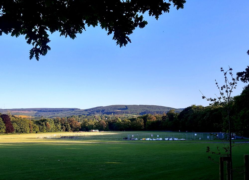 Image shows parkland in evening sunshine, branches of a tree at the top of the image, mountains in the background 