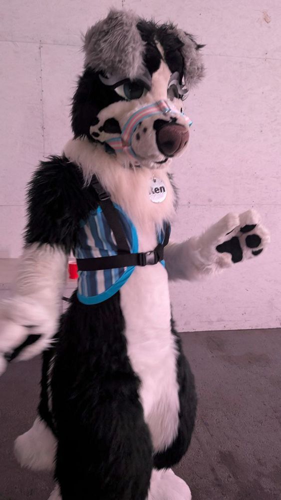 A photograph of Ren Collie dancing in fursuit. Photo by Ratchet.