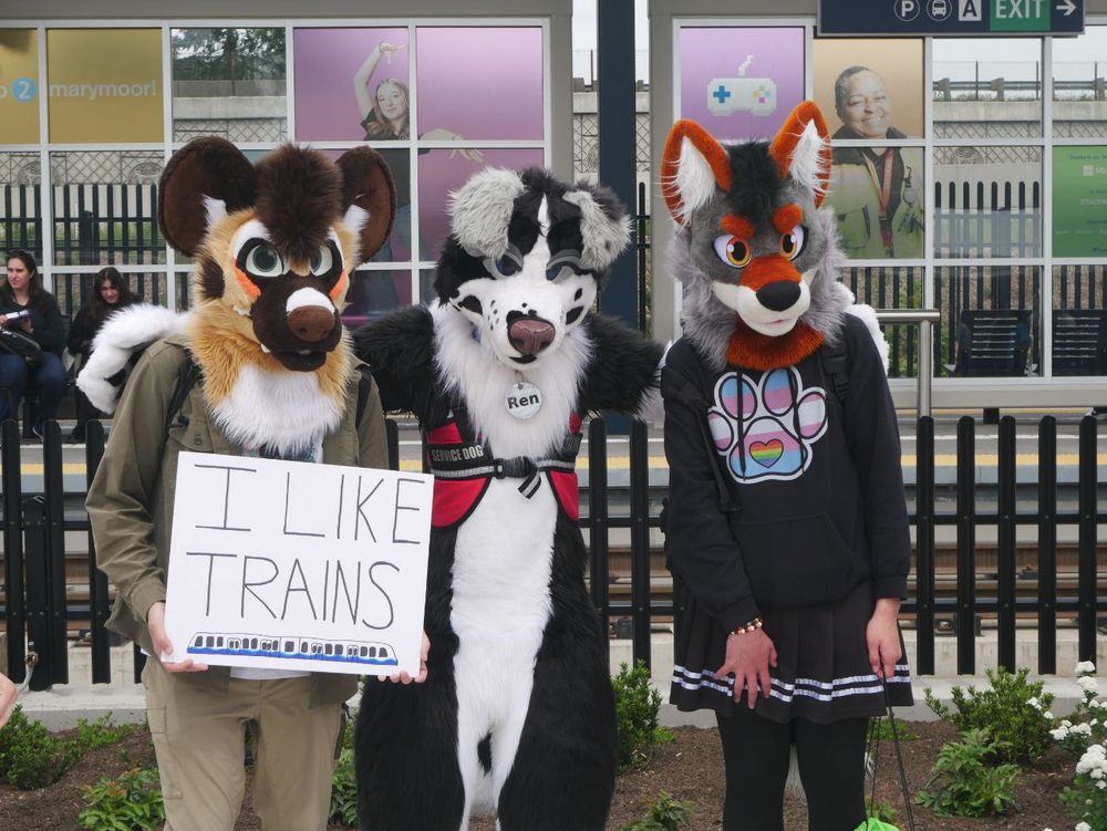 A photograph of three furries standing in front of rail lines.