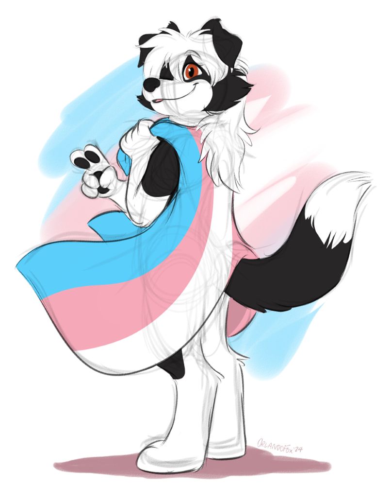 A cartoon drawing of an anthropomorphic border collie with a trans flag draped over their shoulder.