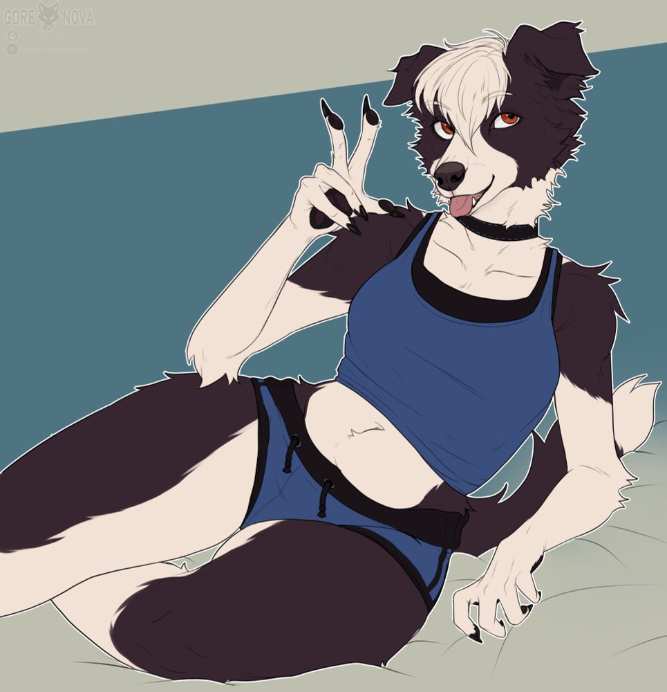 Art of an anthropomorphic border collie character sitting at an angle and wearing short blue shorts and a crop top. They are looking and gesturing at the viewer.