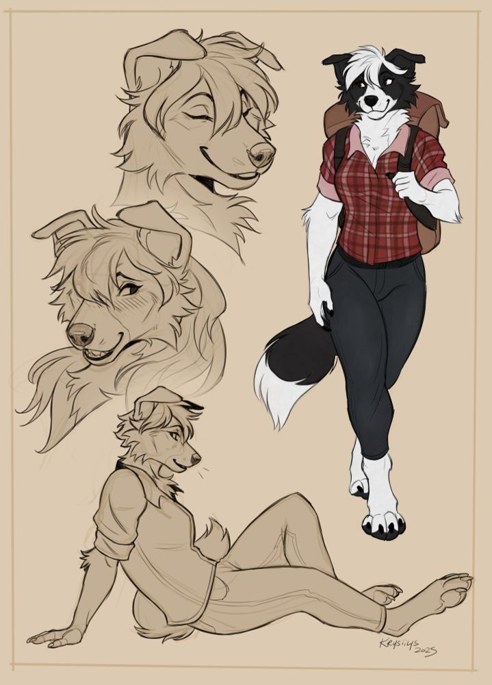 A digital sketch page featuring two headshots, a full body sketch, and a colored sketch of a cute anthropomorphic border collie woman. In the sketches she is reserved but friendly. She is wearing jeans and a short sleeve red plaid top.