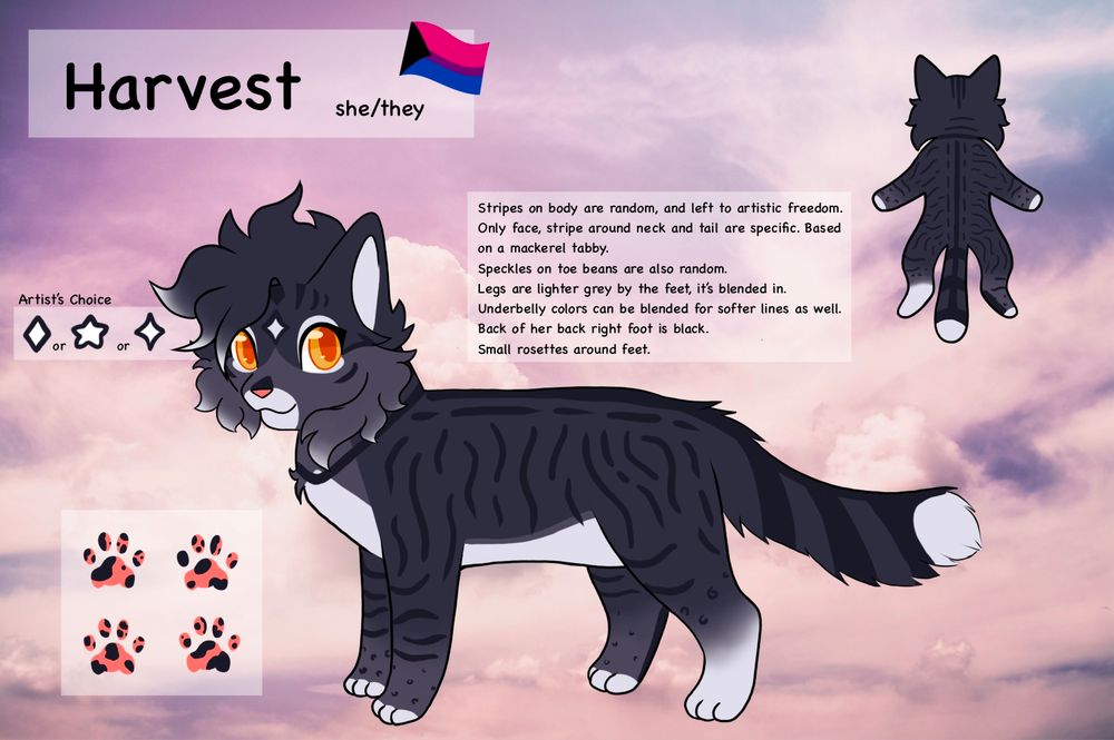 Illustrated reference sheet of a cartoony dark grey tabby cat with golden orange eyes. The background is a pastel pink and purple cloudy sky. There is a box with a set of four paw prints, colored pink with black speckles. There is a back view that's drawn in the style of a pelt to show her back markings better. Text reads: Harvest. She/they. Over she/they there is a flag that has a pink, purple, and blue stripe, and a black triangle on the left side pointing to the right. This flag is a mix of the demisexual and bisexual flags. More text that reads: Artist's choice, followed by an image of a diamond, the word or, a star, the word or, and a four pointed star, indicating the marking on her head can be drawn several ways. Another box with text that reads: stripes on body at random, and left to artistic freedom. Only face, stripe around neck and tail are specific. Based on a mackerel tabby. Speckles on toe beans are also random. Legs are lighter grey by the feet, it's blended in. Underbelly colors can be blended for softer lines as well. Back if her back right foot is black. Small rosettes around feet. 