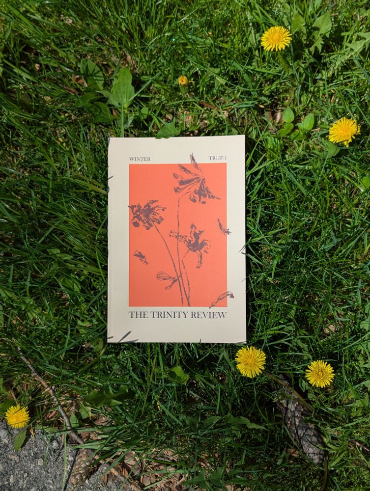 The Trinity Review winter 2025 issue 137.1 lying in grass with dandelions