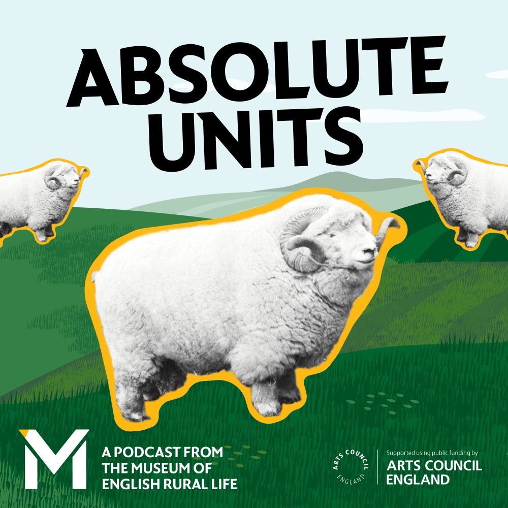 The art for Absolute Units - three giant sheep float over the English countryside.