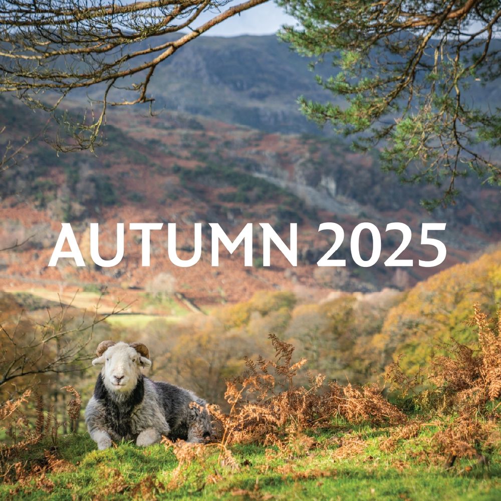 Autumn 2025 at The Museum of English Rural Life.