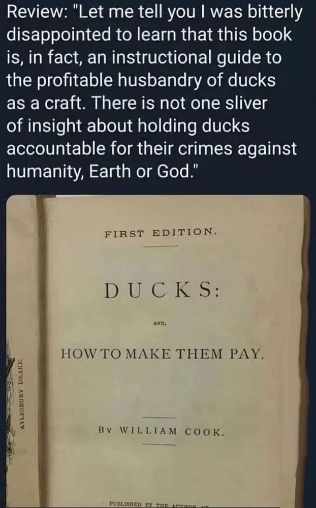A review of 'Ducks: How to Make Them Pay', which reads: 'Let me tell you I was bitterly disappointed to learn that this book is in fact an instructional guide to the profitable husbandry of ducks as a craft. There is not one silver insight about holding ducks accountable for their crimes against humanity, Earth or god'.