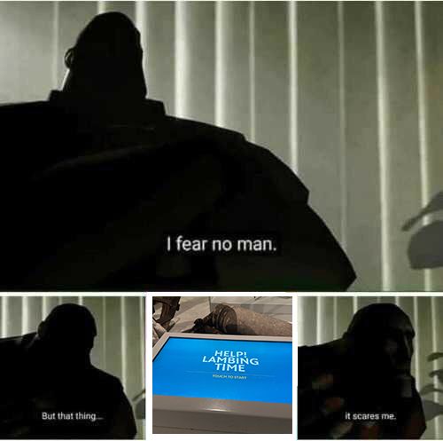 A meme from Team Fortress 2, showing the Heavy in a dark room (a therapist's office) saying: 'I fear no man, but that thing, it scares me'. In this case, 'that thing' is a screenshot of our 'HELP! LAMBING TIME' interactive.