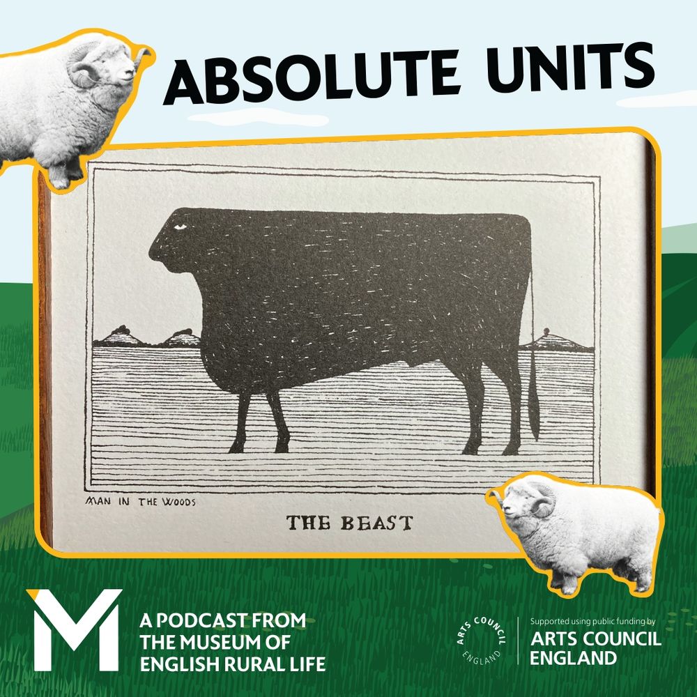 The art for Absolute Units - a podcast from The Museum of English Rural Life - with The Beast by Man in the Woods in the centre.