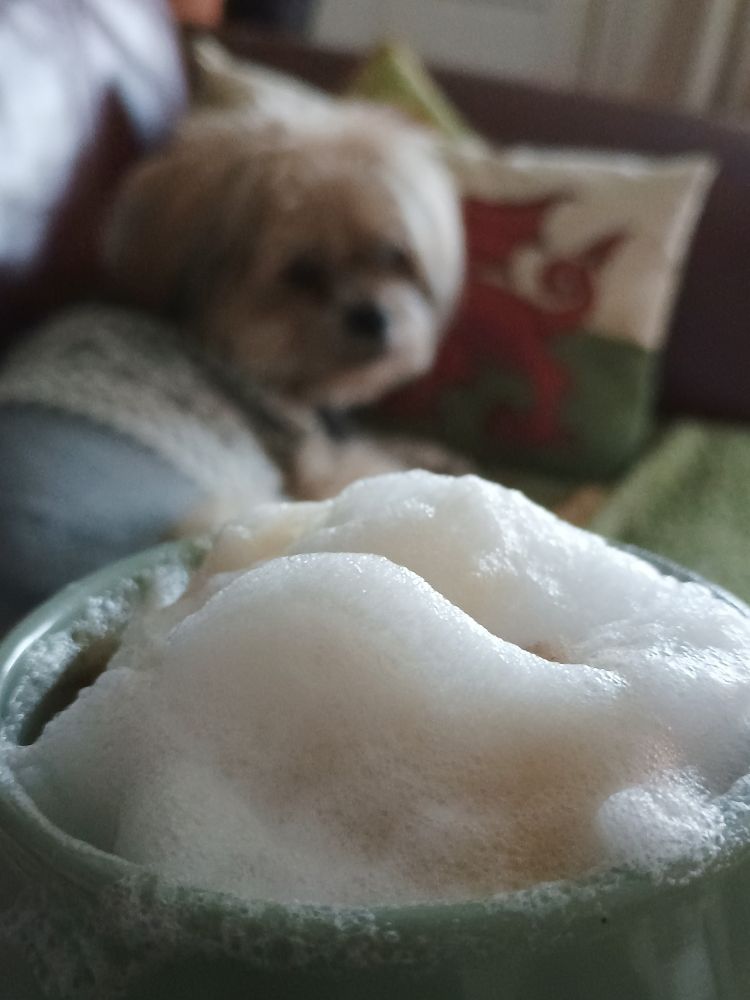 Coffee ffroff and a cute dog in a jumper. 