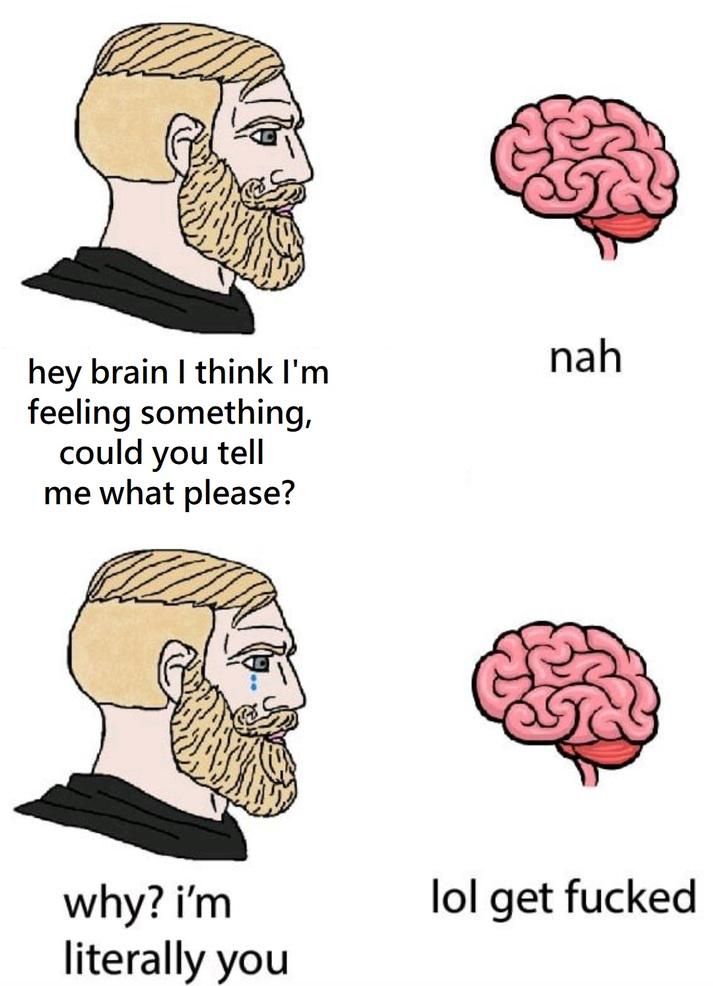 There's a drawing with a man with a blonde beard and he asks his brain "hey brain I think I'm feeling something, could you tell me w