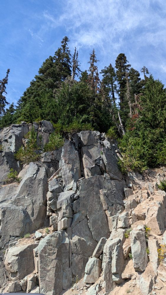 Face of a granite cliff with fir trees on top.