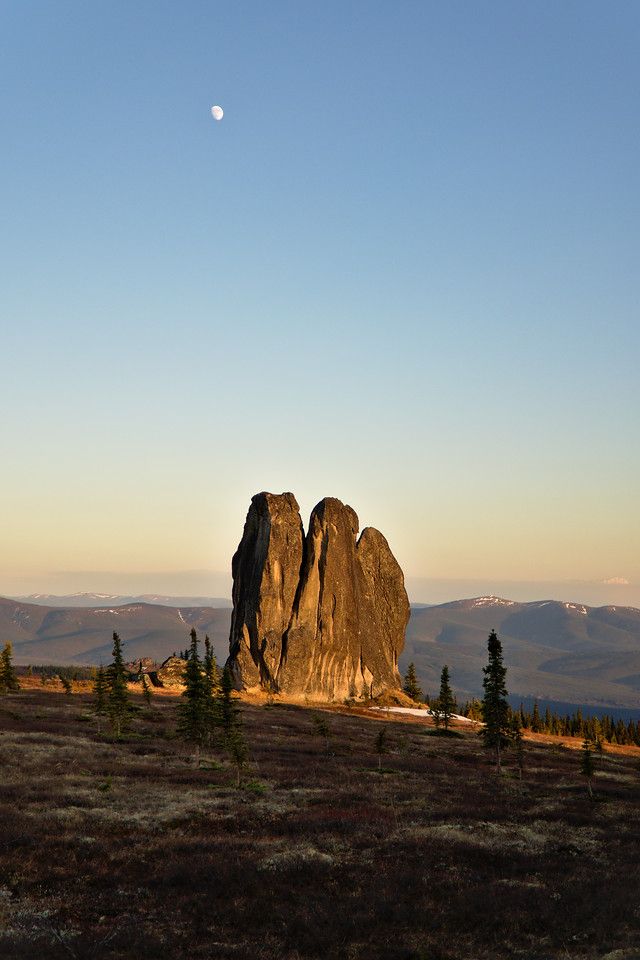 Photograph of Asgard Tor, a tall granite rock formation in the Chena River State Recreation Area near Fairbanks, Alaska. The tor stands prominently in warm golden light, surrounded by sparse spruce trees and tundra vegetation. The sky above is clear blue with the moon visible high above the rock. The distant hills in the background show faint patches of snow and are softly illuminated by the low evening sun. The photo was taken in mid-May around 10 p.m.