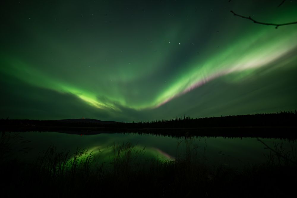 Bright green aurora arcs across the sky over Smith Lake, with hints of pink along its lower edge. The reflection shimmers in the dark water, with foreground grasses visible in silhouette. A faint red light from a distant hill glows on the horizon beneath the aurora.