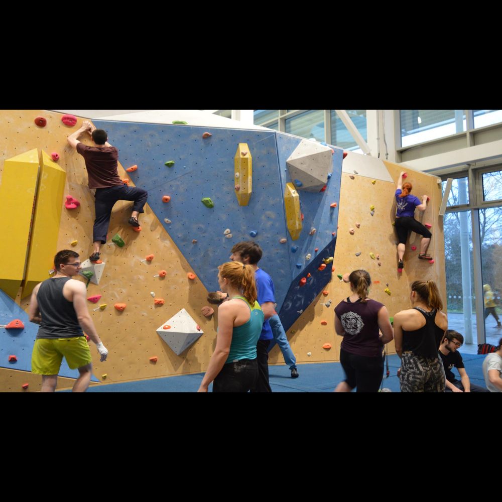 Zondag 12 november 2023 | Workshop boulderen met Coach | Den Bosch | 18 t/m 35 jaar - Stichting Brab...