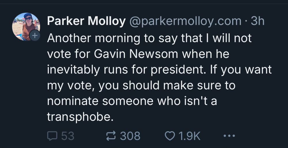 Parker Malloy is reminding me why I had them blocked in the bad place. Why try to suppress the Dem vote in 2028 when we don’t even know who is running and we haven’t yet had midterms?