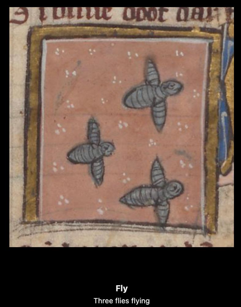 medieval drawing of three flies flying, but they are grey tubular things on a pink background with white dots.

the text below is
fly
three flies flying