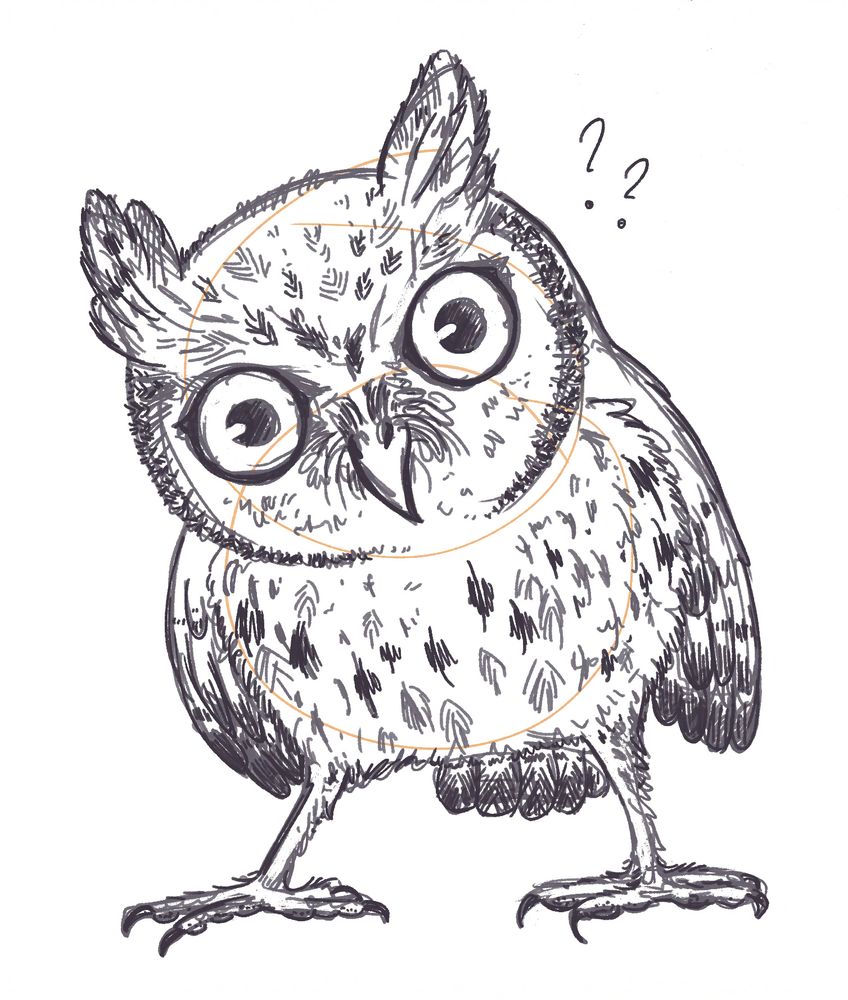 now those two circles turned out into a confused little eurasian scops owl, huge sparkly eyes and little ears, widely stretched thin toothpick leggies, two little question marks by their head.